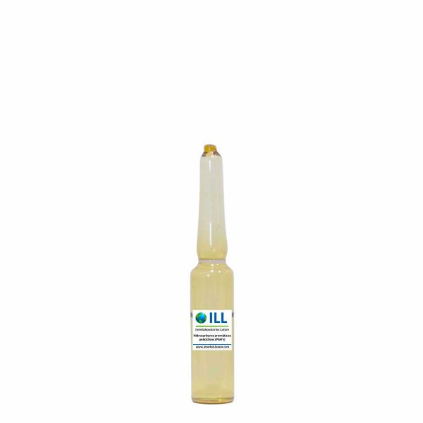 Hidrocarburos aromáticos policíclicos (PAH'S)