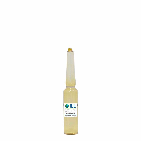 Hidrocarburos totales rango diesel (DRO)